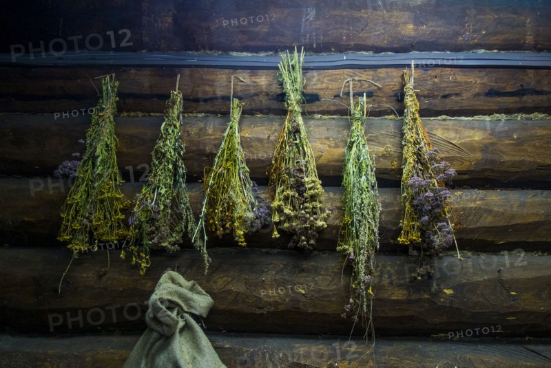 Green brooms hanging on log cabin wall