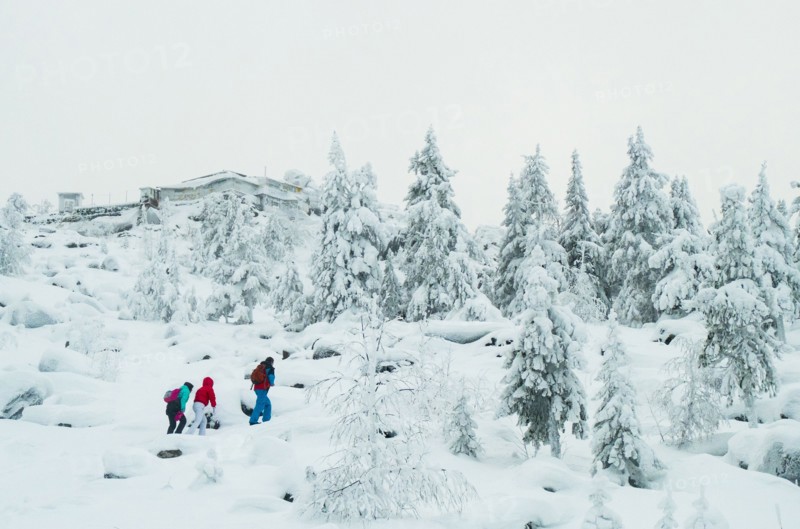 Caucasian friends hiking in snowy forest