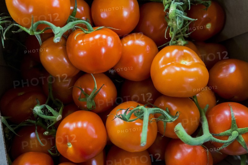 Pile of tomatoes on stems