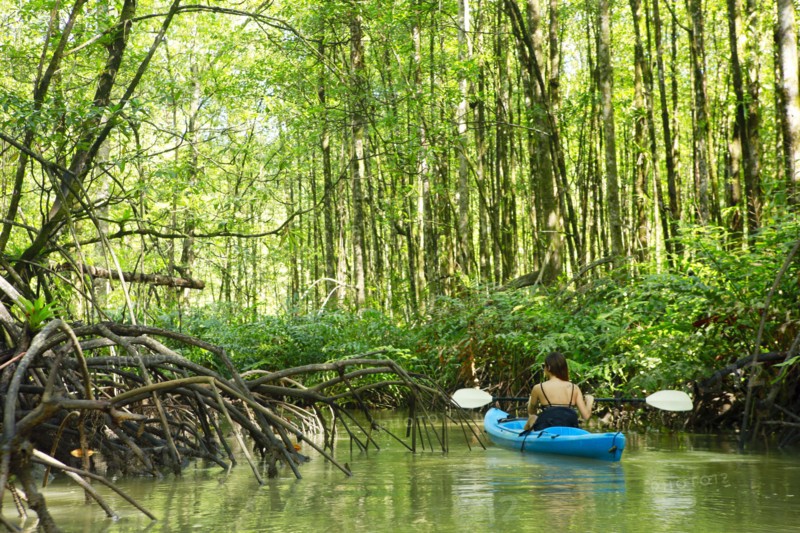 Hispanic woman rowing kayak on river