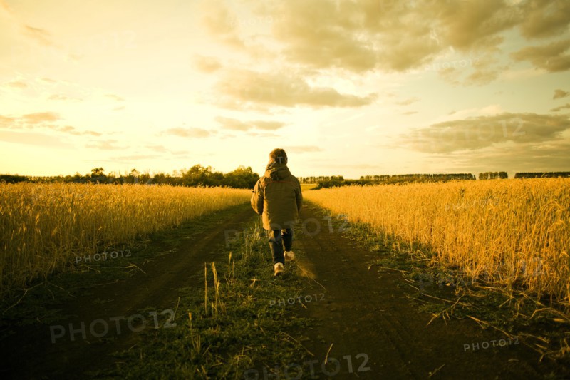 Mixed race child walking on path through rural field