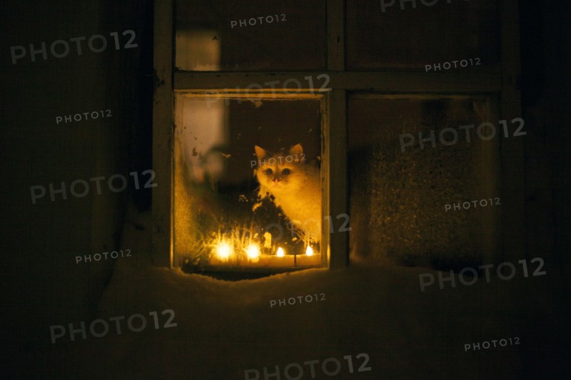 Cat peering out window by candle light at night