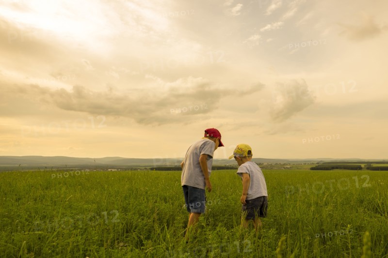 Mari brothers exploring in rural field