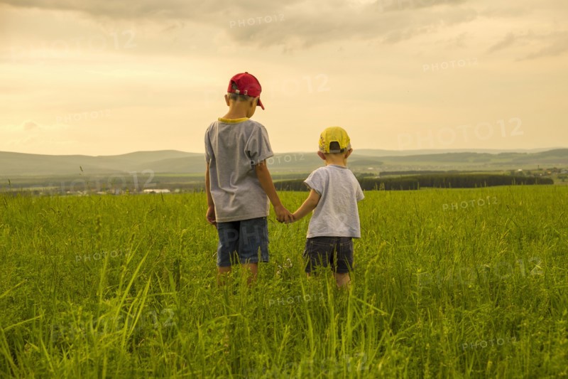 Mari brothers exploring in rural field