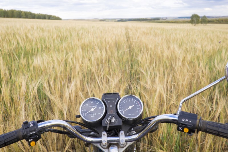 Motorcycle handlebar in tall grass