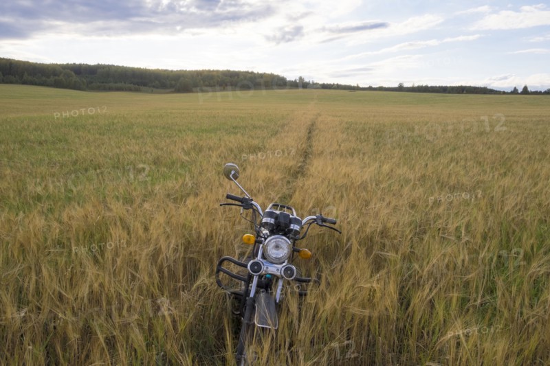 Motorcycle parked in tall grass