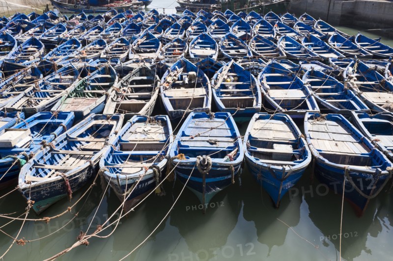 Blue boats secured with rope