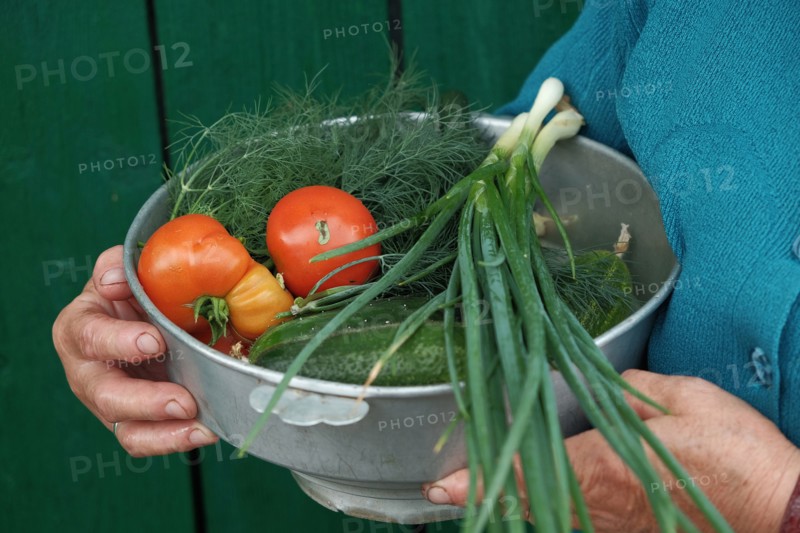 Caucasian woman holding bowl of fresh vegetables