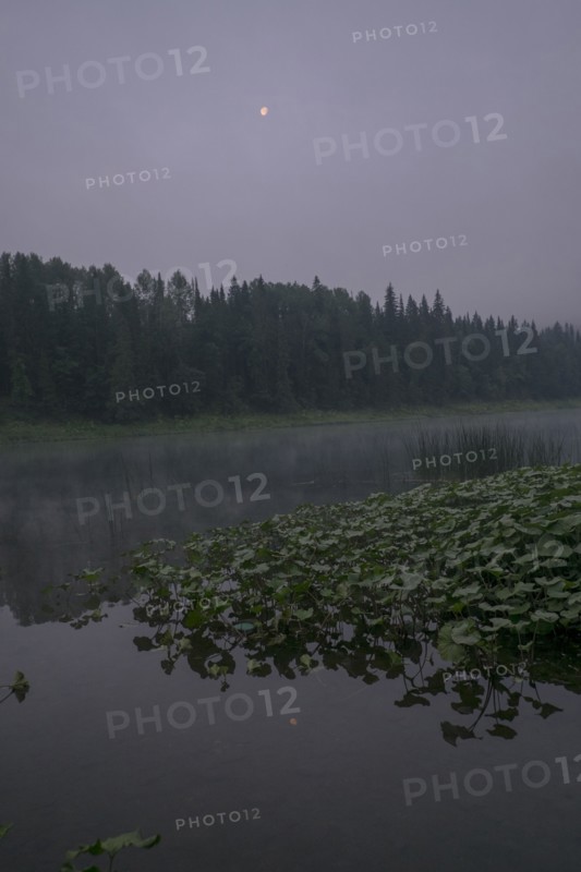 Moon over foggy river