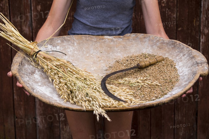 Caucasian woman holding tray with wheat and sickle