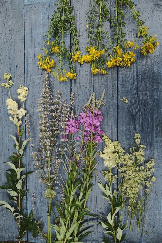 Multicolor flowers laying on wooden table