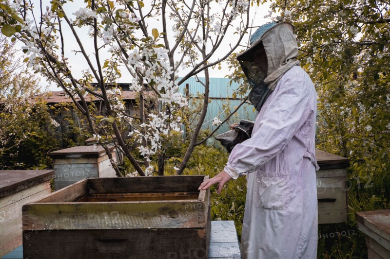 Beekeeper and bee hives