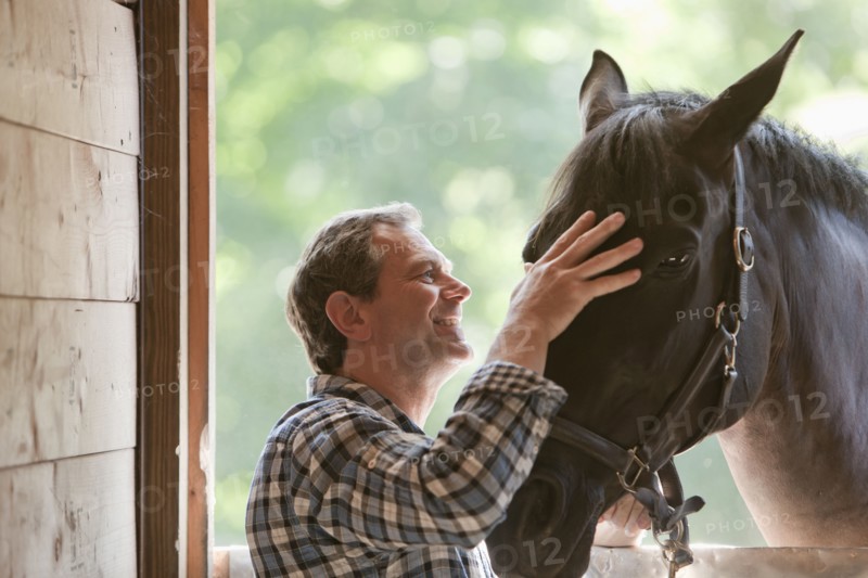 Caucasian man petting horse