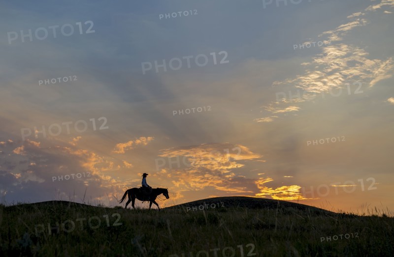 Silhouette of Caucasian woman riding horse at sunset
