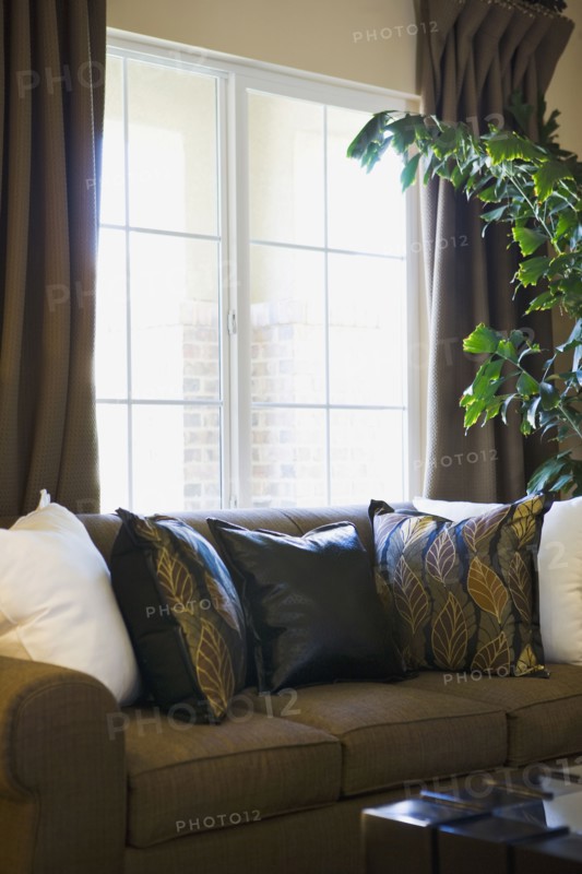 Brown sofa in front of window
