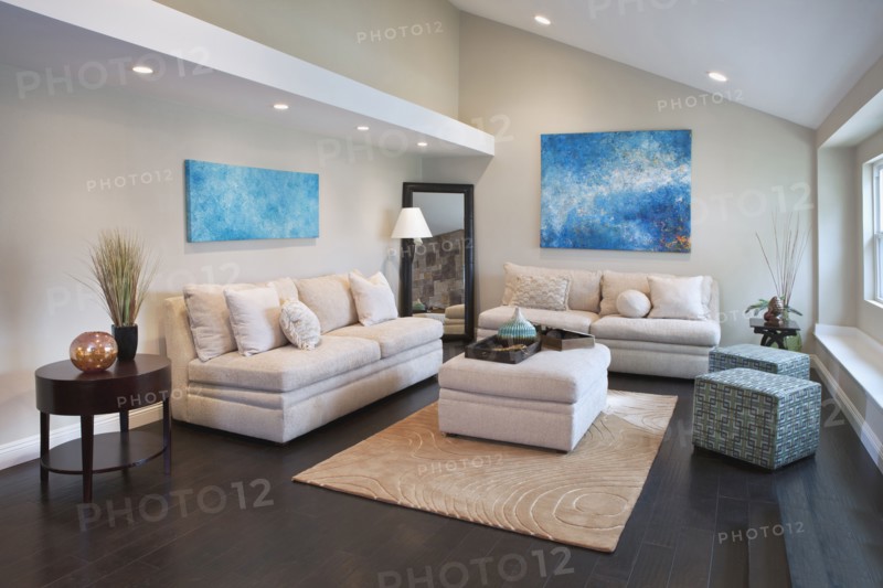 Interior of living room with comfortable sofas