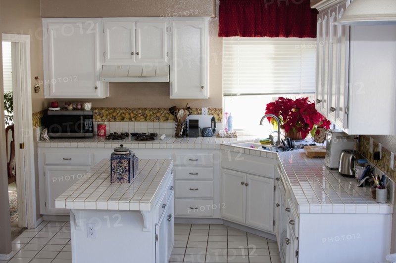 White monochromatic traditional kitchen with island
