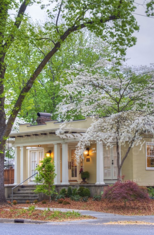 Front exterior California Bungalow and landscaping