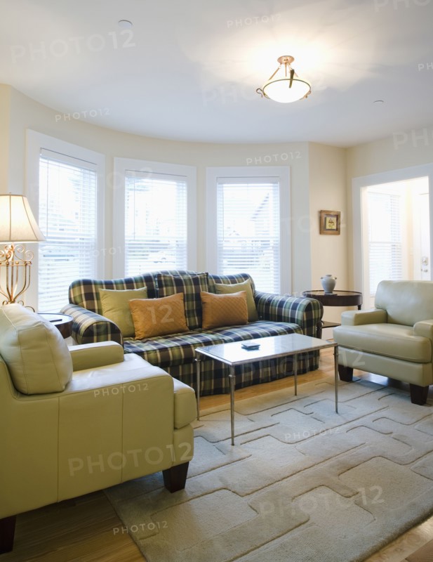 Living room with plaid sofa