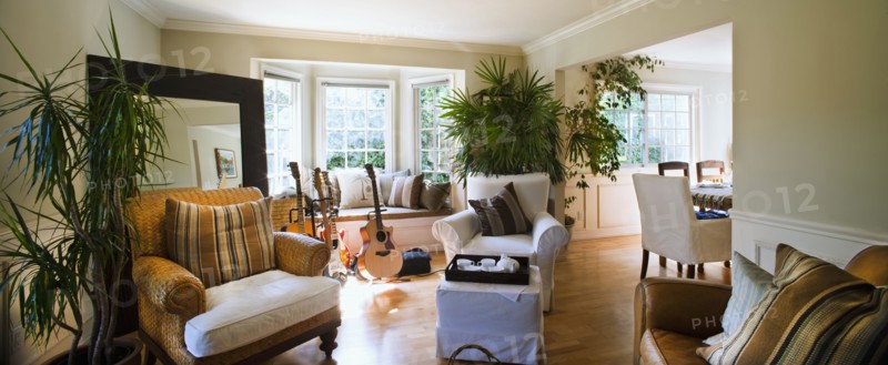Armchairs in living room