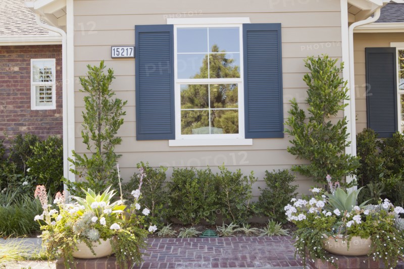Walkway along plants with house window