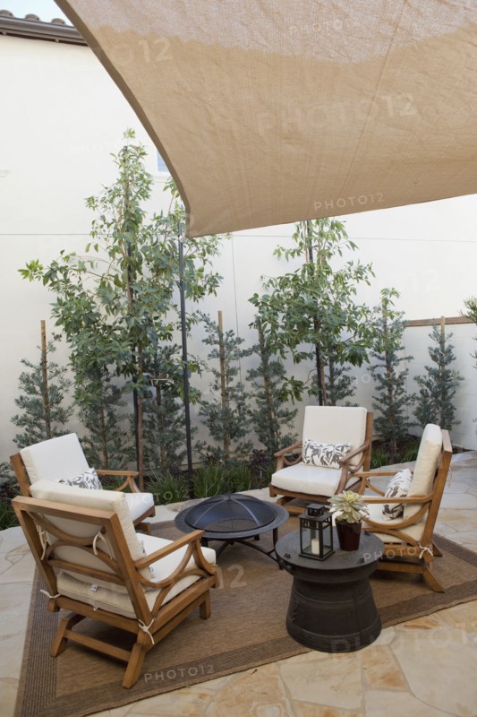 View of sitting area with plants at a patio