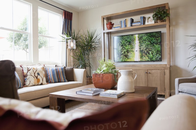 Seating furniture with flat screen television in the living room