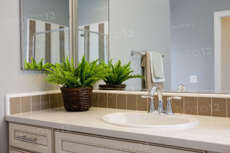 Bathroom sink with potted plant on counter