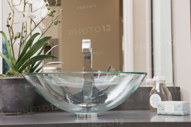 Glass sink and house plant in domestic bathroom