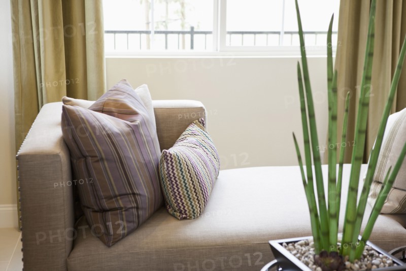 House by chaise lounge in sitting room