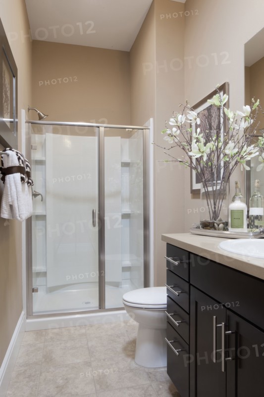 Water closet and shower glass in domestic bathroom