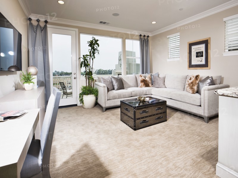 Contemporary living room with sectional sofa and carpet flooring at home