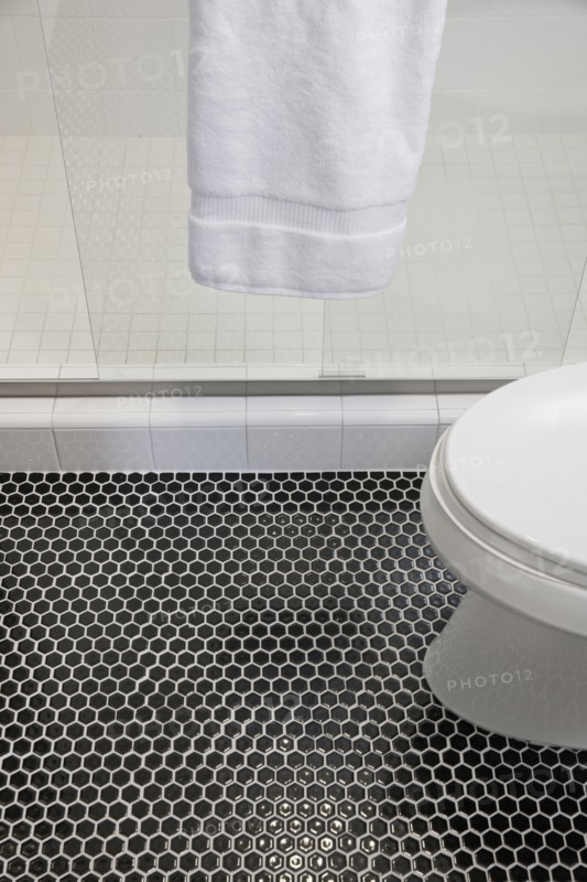 Mosaic floor with cropped commode and glass shower in the bathroom at home
