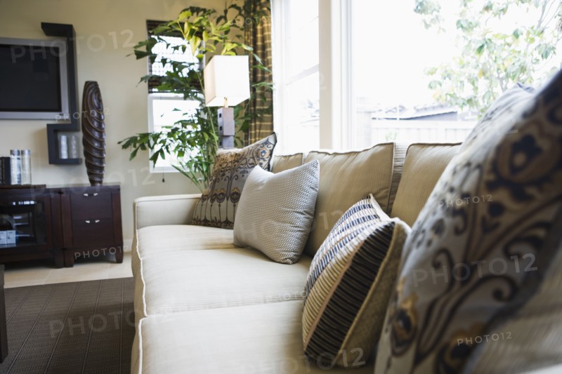 Throw pillows on sofa
