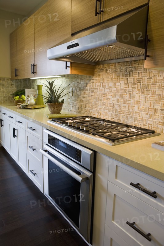 Stove top and oven in contemporary kitchen