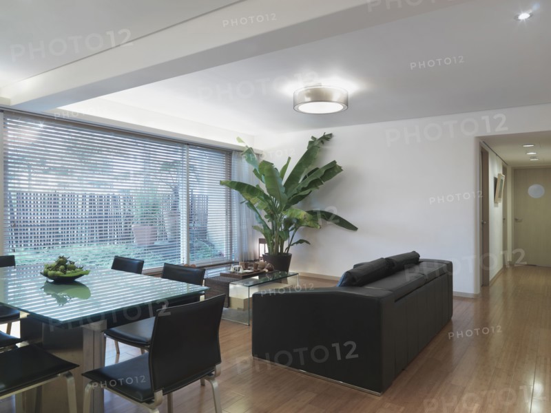 Modern dining room and living room