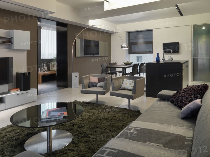 Open modern great room