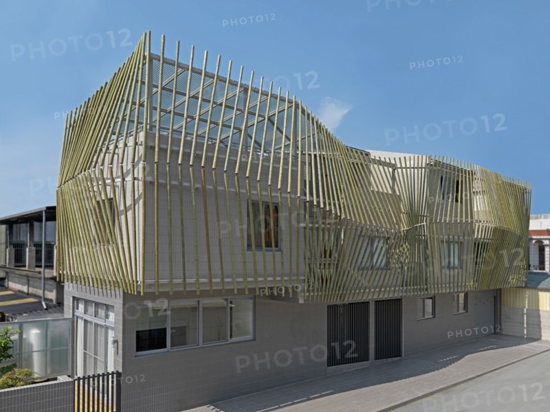 Exterior of modern home covered in bamboo