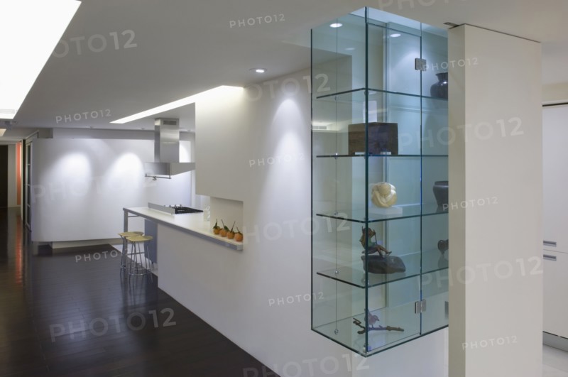 Glass display case in modern home