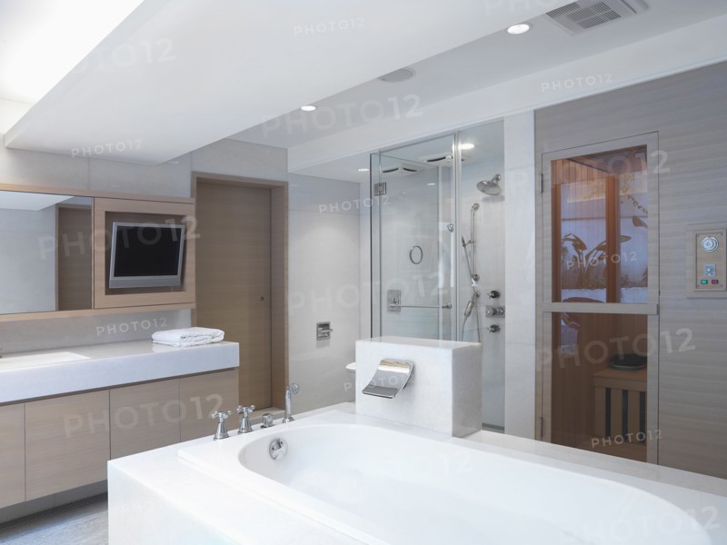 Modern bathroom with large bathtub and sauna