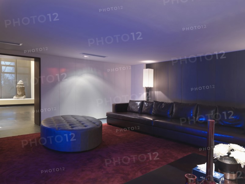 Large modern living room with red carpet and black leather couch