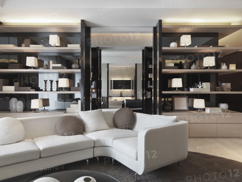 Modern living room with bookcases