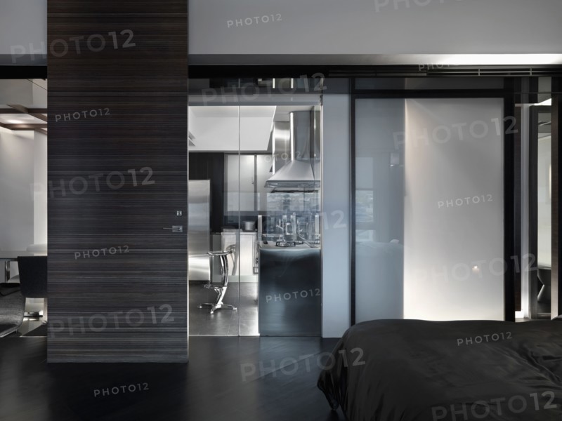 Modern interior with floor to ceiling door