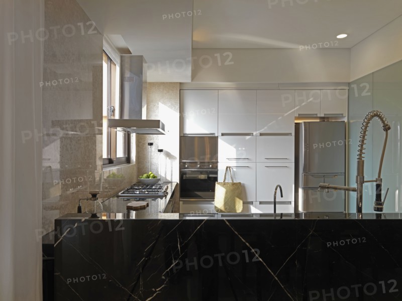 Modern kitchen with pull down faucet
