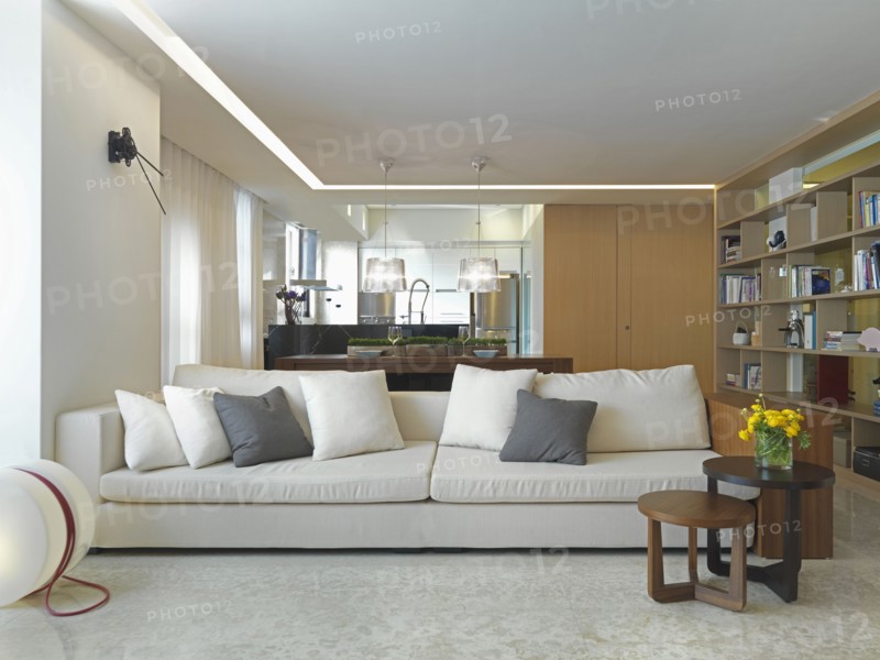 Simple modern living room