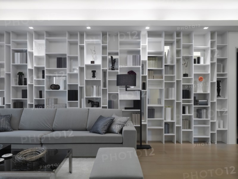Modern living room with wall length bookcase