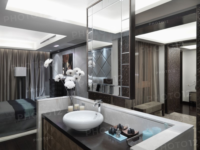 Detail bowl sink and floating mirror