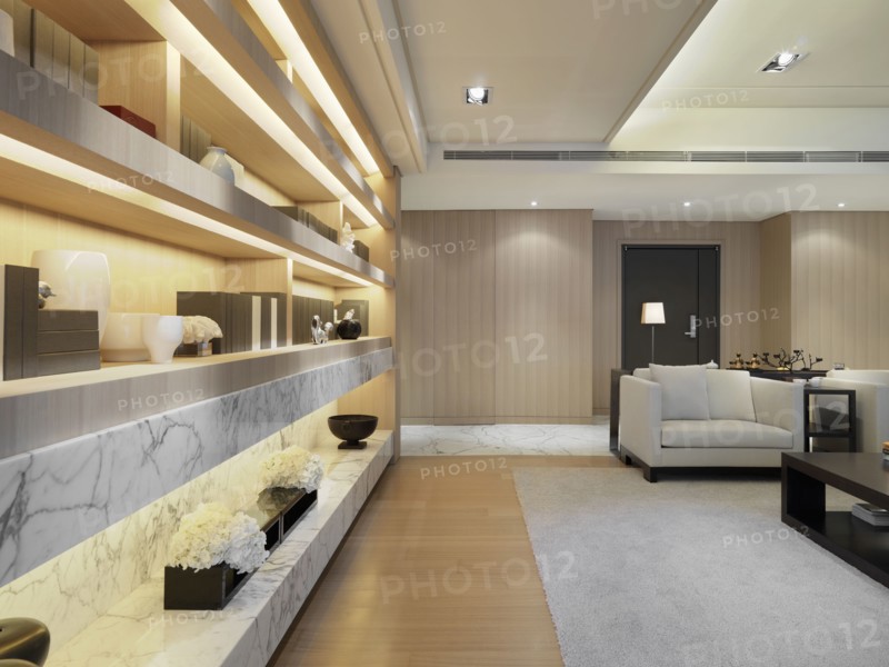 Modern bookcases in living room