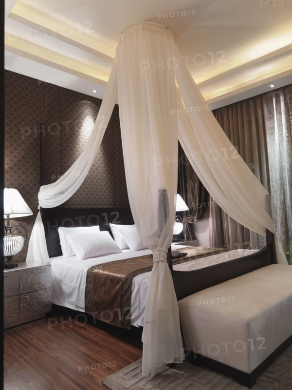Mosquito net above bed