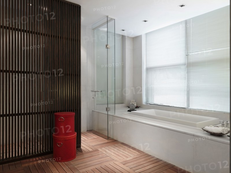 Hardwood floors in modern bathroom